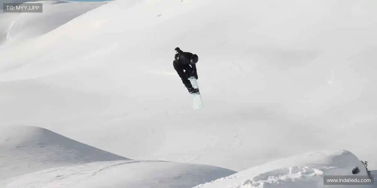 🎯精准数据，深度解析赛事背后的故事！